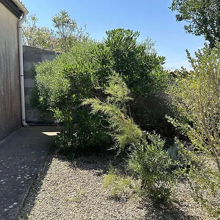 Maison Avec Jardin, Piscine Securisee Et Terrasse Ombragee, A 700m De La - 6 Couchages - Fr-1-229d-143 Semesterbostad